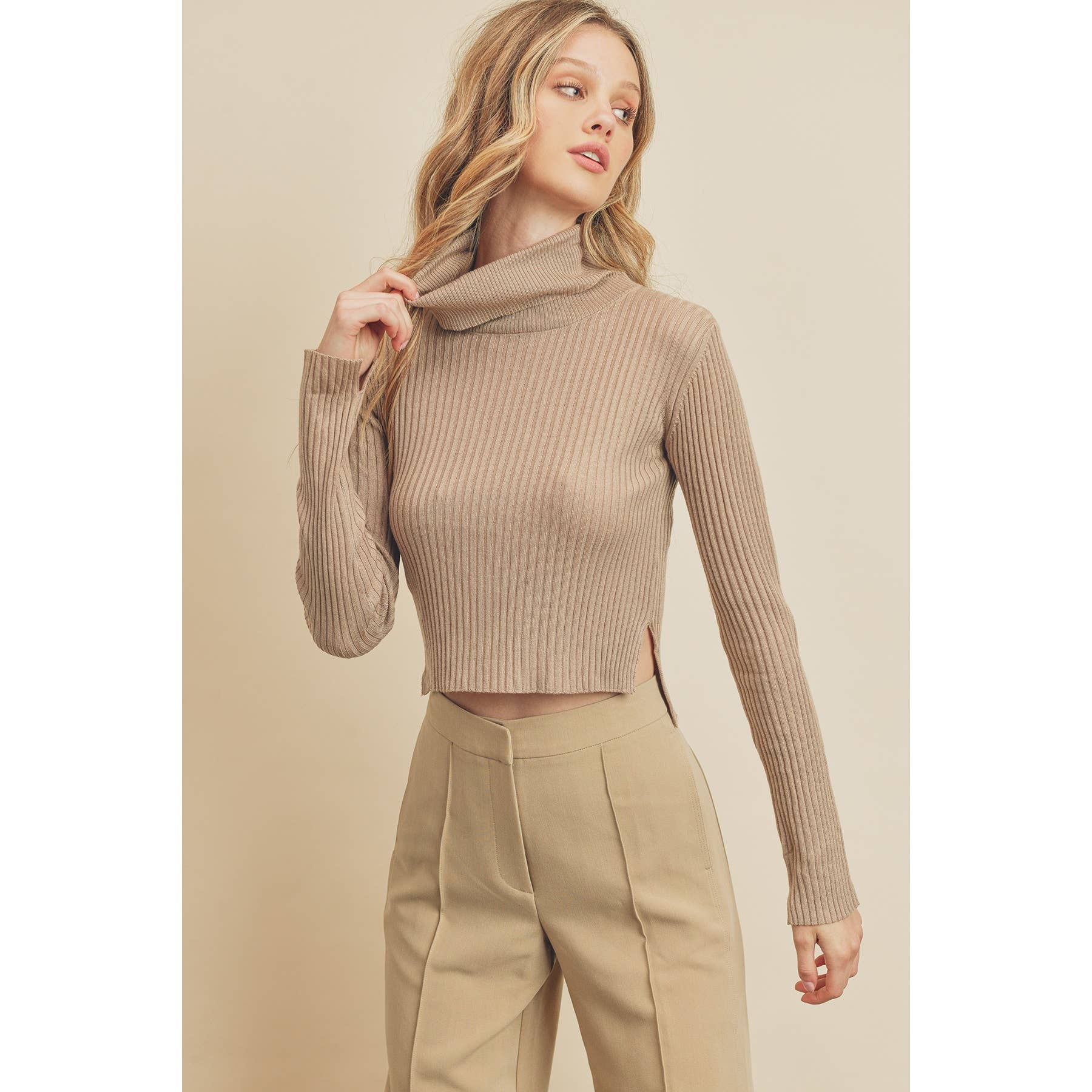 Turtleneck Cropped Sweater